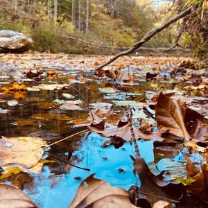 Meet your Posher, Brooklyn